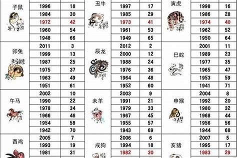 乙亥年生肖|乙亥年是哪一年 乙亥年是什么生肖属什么